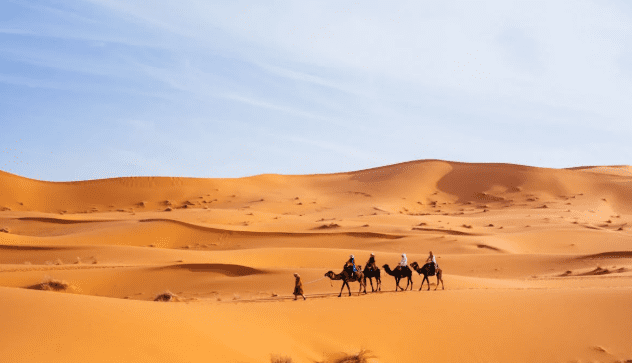 tourists in camels in Morocco