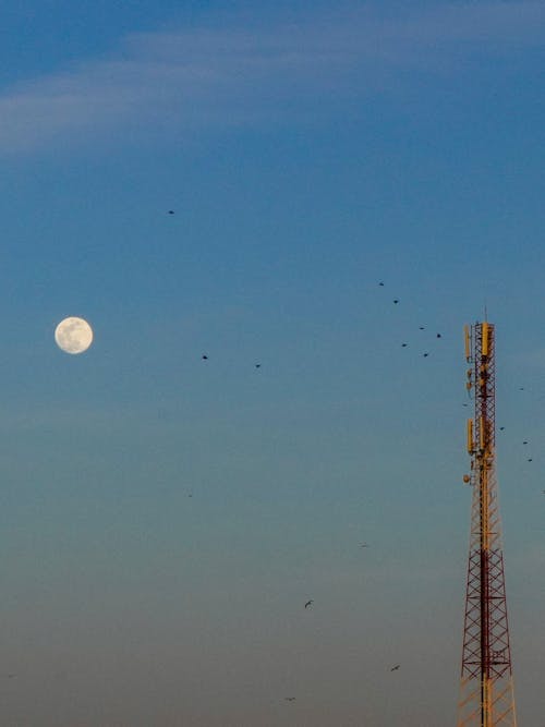 Free Full moon rises over a communication tower in Rabat, showcasing a clear night sky. Stock Photo