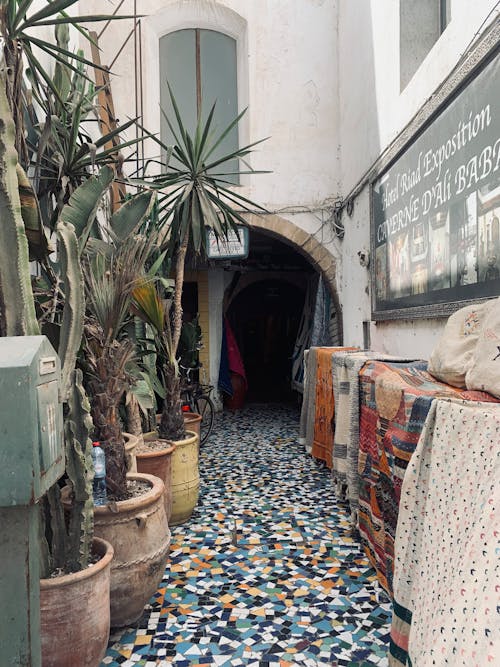 Free Cozy Moroccan market passage with colorful rugs and lush potted plants in Essaouira. Stock Photo