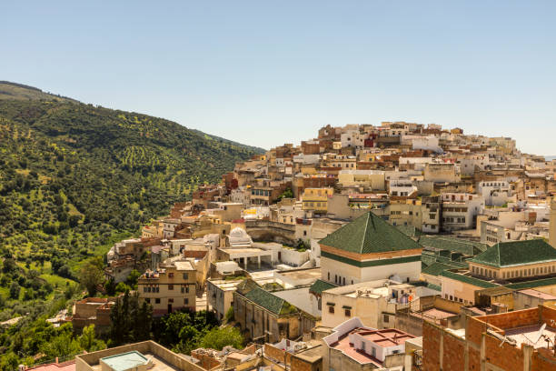 Moulay idriis zarhoun captured from high above showcasing the houses