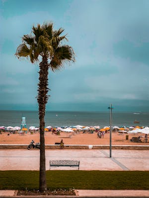 Visa to travel to morocco
