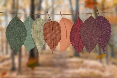 Free Fabric leaves hang on a rope, showcasing autumn colors in a forest backdrop. Stock Photo