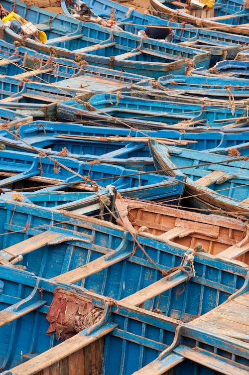 Free Aerial view of blue wooden fishing boats clustered in Essaouira harbor. Stock Photo