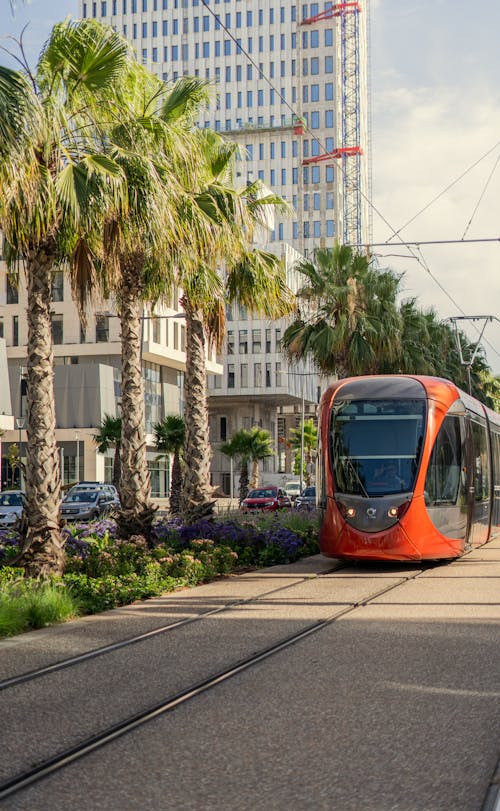 Free Red tramway in sunny Casablanca street, Business in morocco