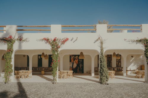 Free Elegant Moroccan courtyard in Marrakesh. Investment in Africa