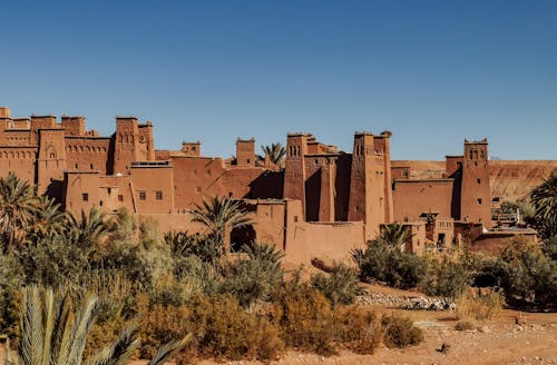 Free Exterior of old masonry buildings with square shaped windows near dry sandy terrain with growing palm trees and grass under blue sky Stock Photo