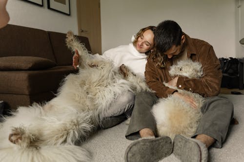 Protect Your Moroccan Rug from Cold and Damp in a Nordic Winter
